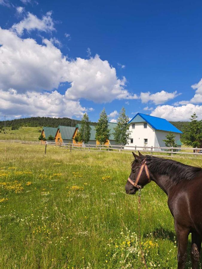 Vule Bungalovi Žabljak Esterno foto